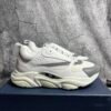Dior B22 White Silver