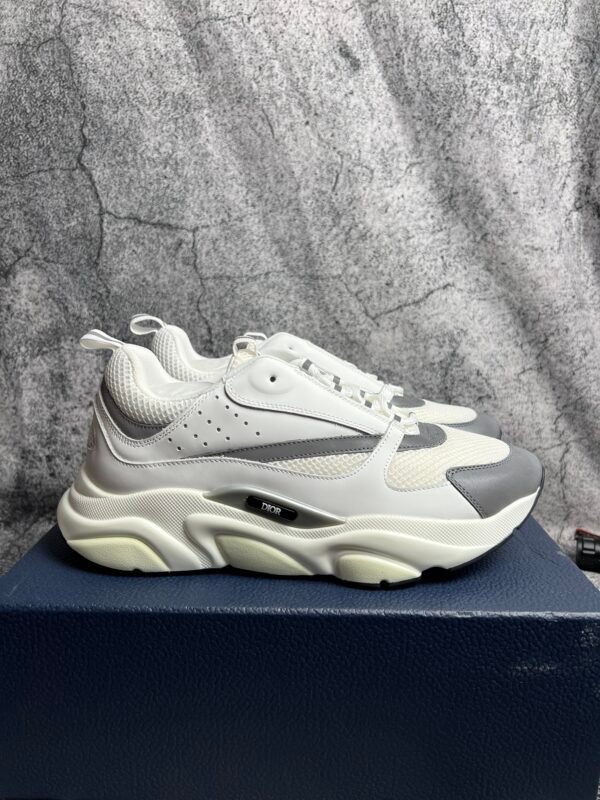 Dior B22 White Silver