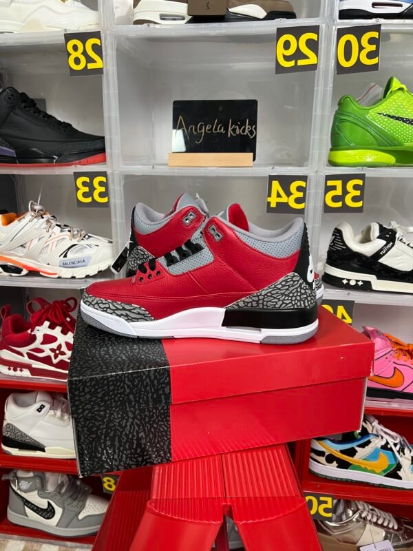 Jordan 3 Retro SE Unite