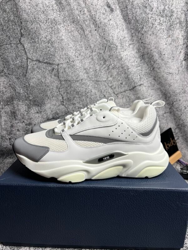 Dior B22 White Silver