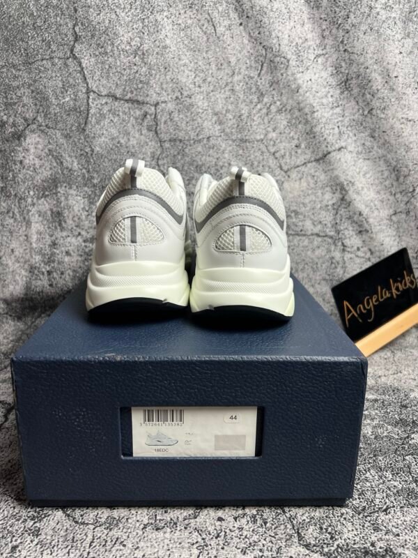 Dior B22 White Silver