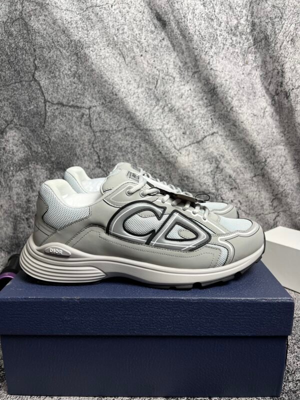 Dior B30 Gray