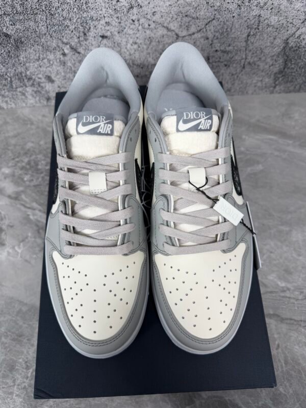 Jordan 1 Retro Low Dior