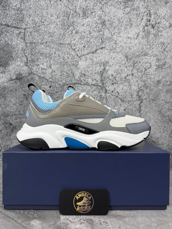 Dior B22 White Blue