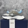 Dior B22 White Blue