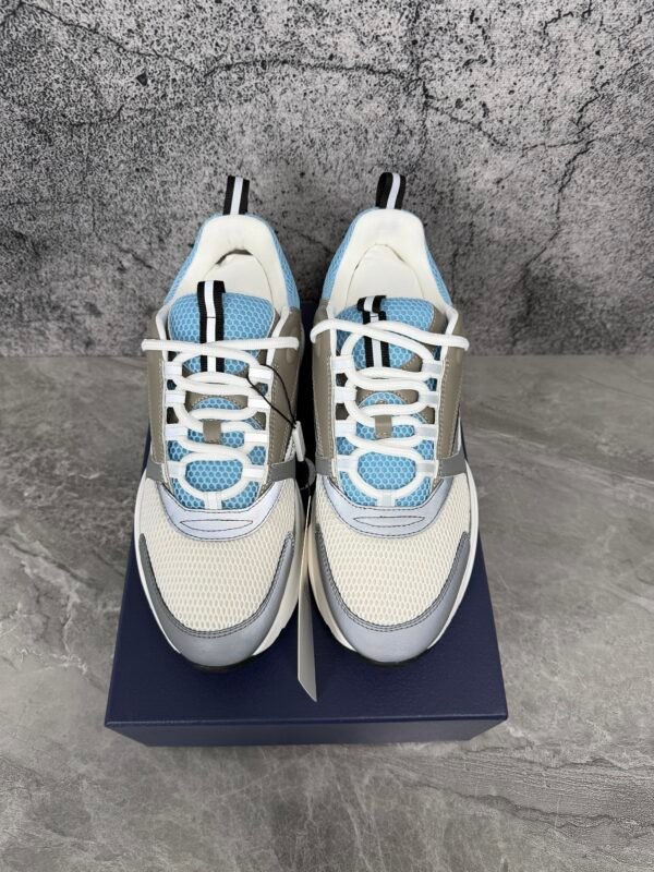 Dior B22 White Blue