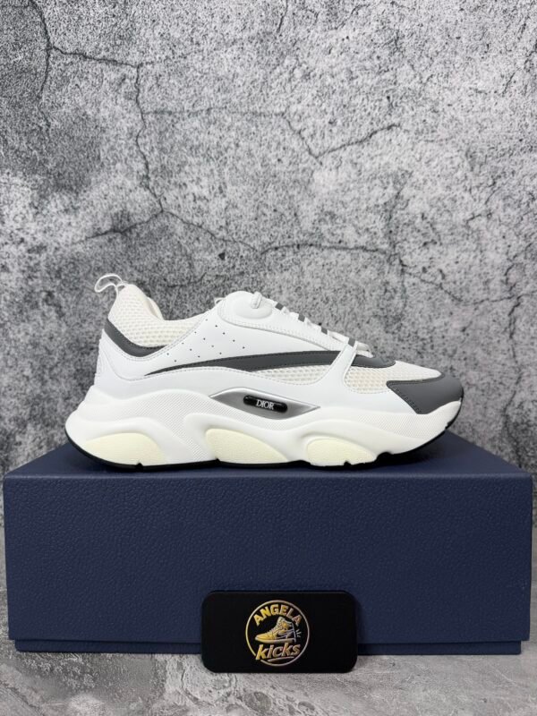 Dior B22 White Silver