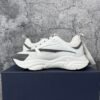 Dior B22 White Silver