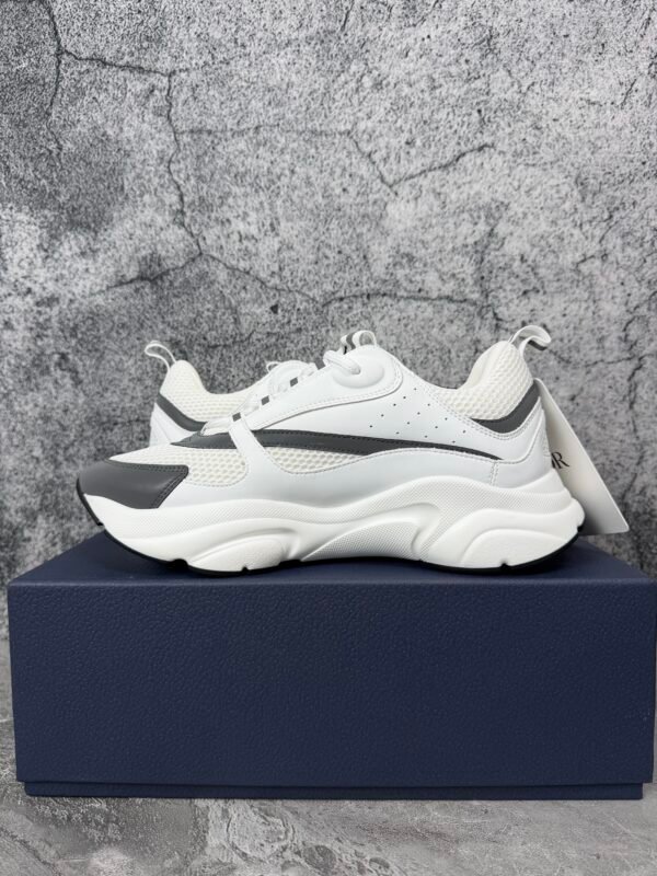 Dior B22 White Silver