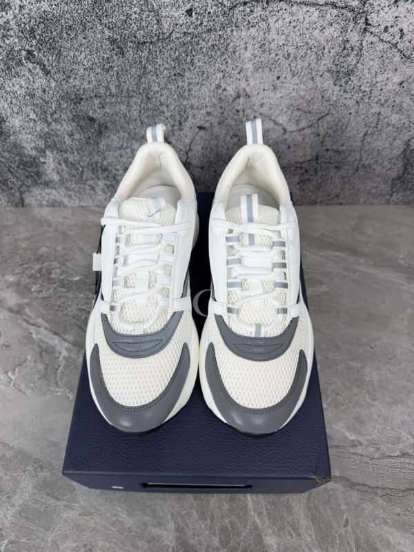 Dior B22 White Silver