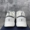 Dior B22 White Silver