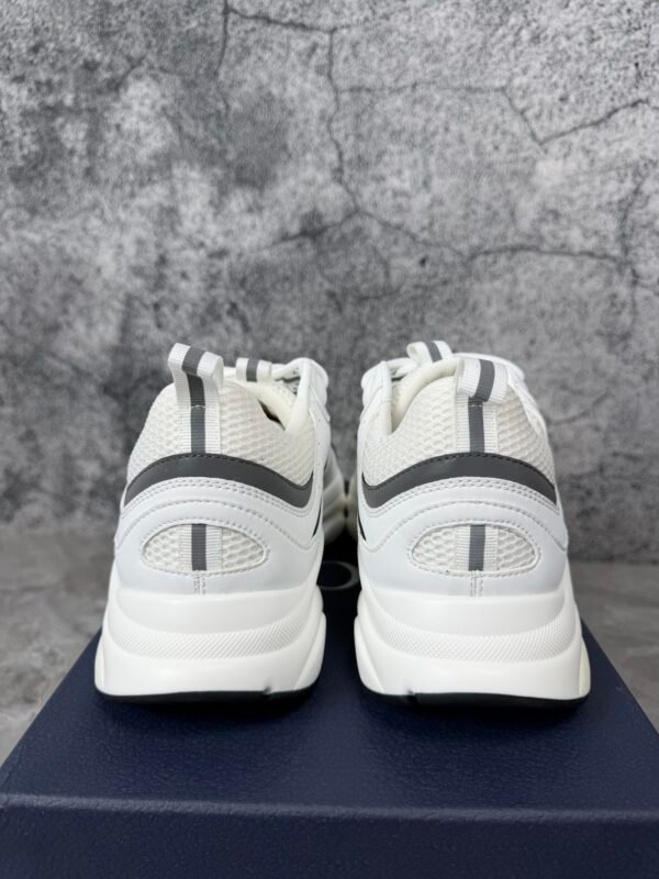 Dior B22 White Silver