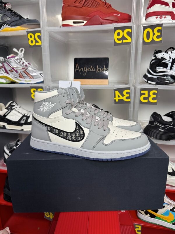 Jordan 1 Retro High Dior
