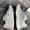 Dior B30 Gray