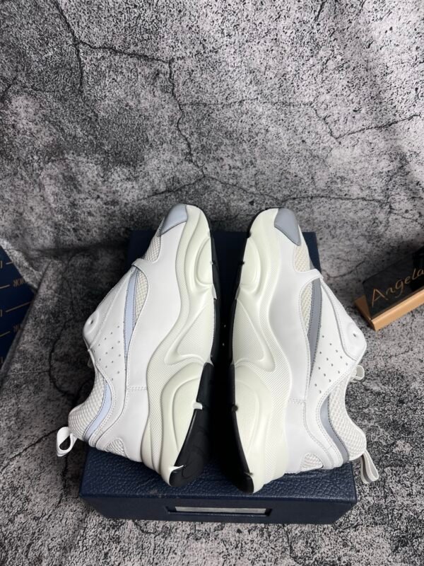 Dior B22 White Silver