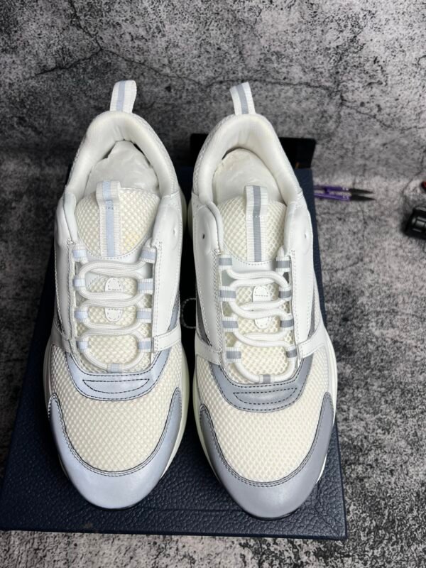 Dior B22 White Silver