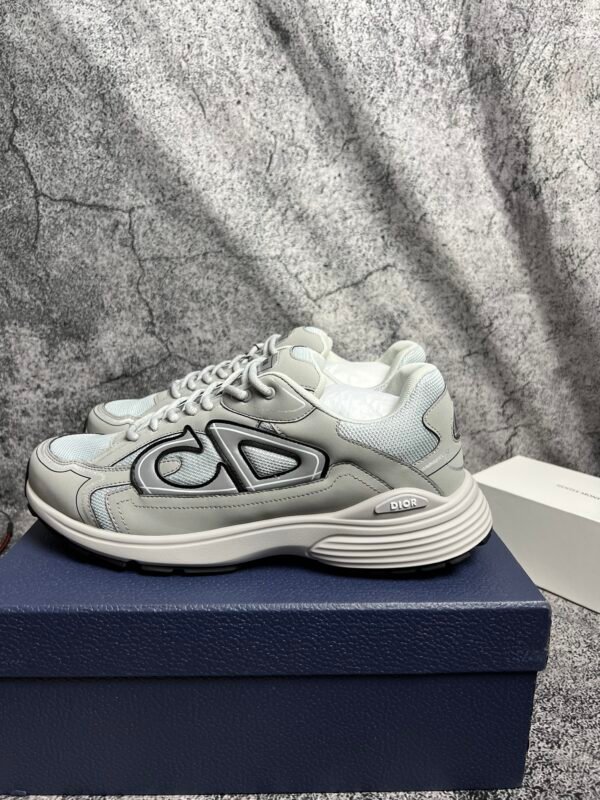Dior B30 Gray