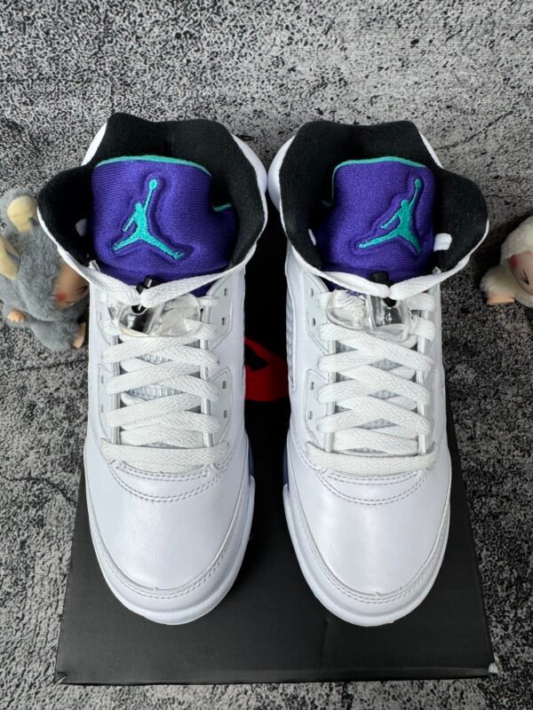 Jordan 5 Retro Grape