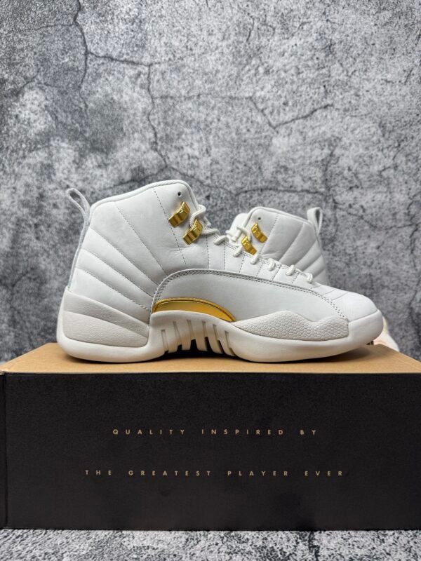 Jordan 12 Retro Phantom