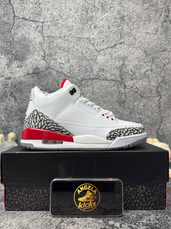 Jordan 3 Retro Hall of Fame
