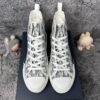 Dior B23 High Top Logo Oblique