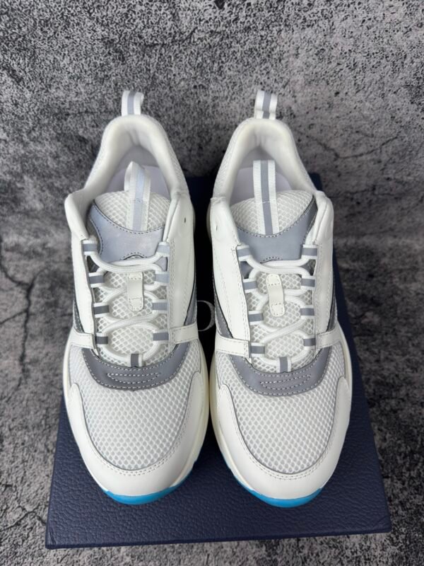 Dior B22 White Silver Blue