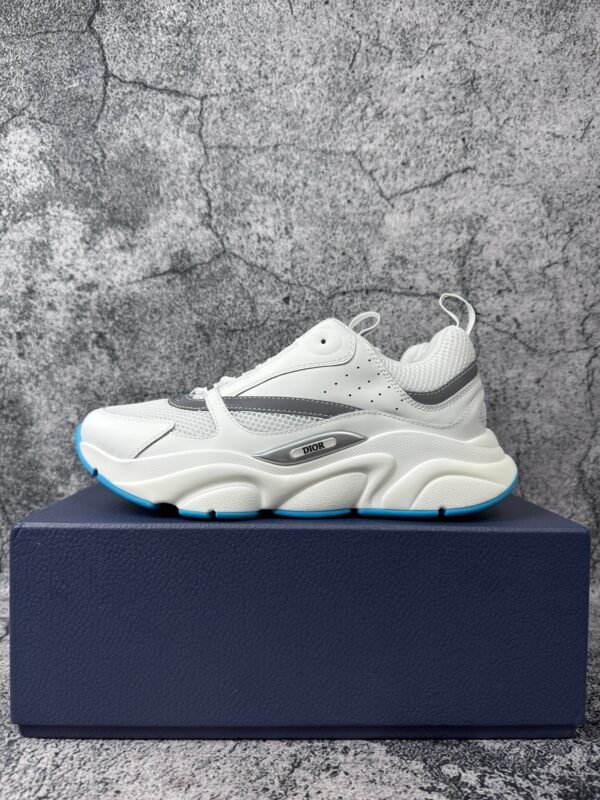Dior B22 White Silver Blue