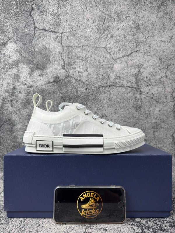 Dior B23 Low Top Oblique