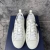 Dior B23 Low Top Oblique