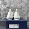 Dior B23 Low Top Oblique