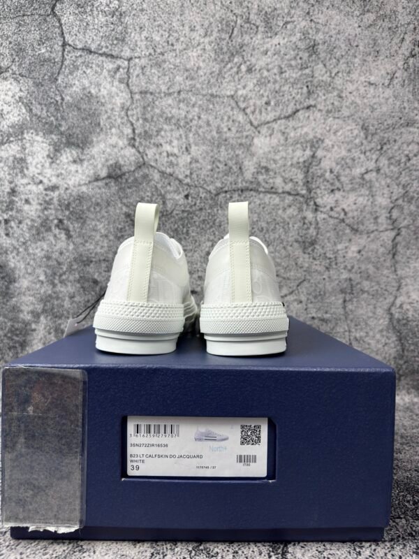 Dior B23 Low Top Oblique
