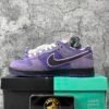 Nike SB Dunk Low Concepts Purple Lobster