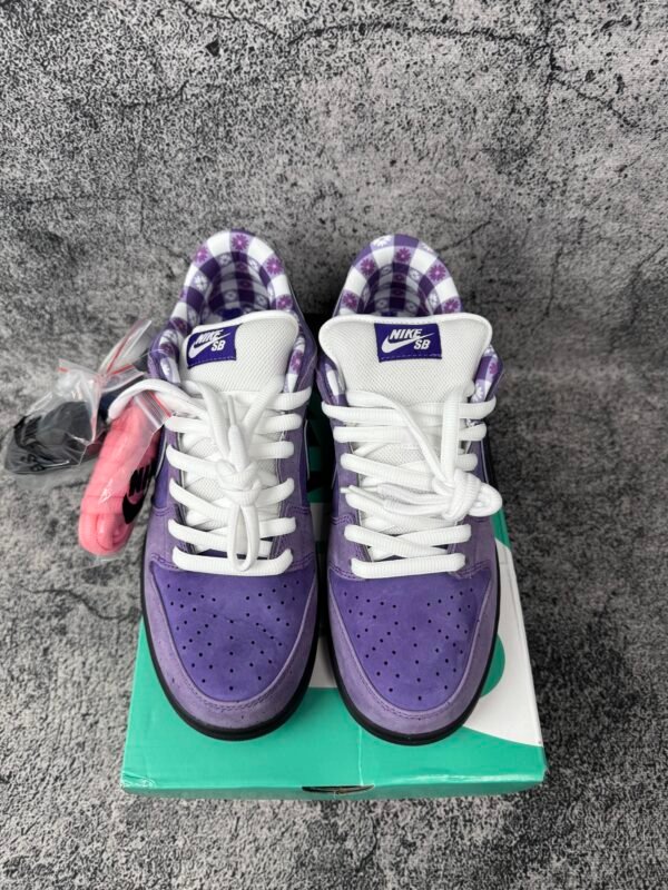 Nike SB Dunk Low Concepts Purple Lobster