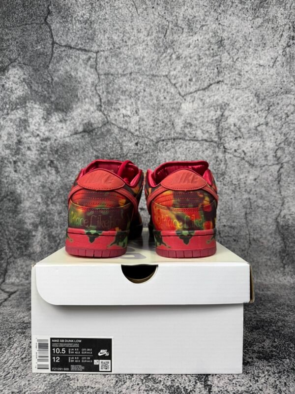 Nike SB Dunk Low The Wizard of Oz Poppy Field