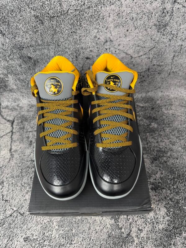 Nike Kobe 4 Protro Carpe Diem
