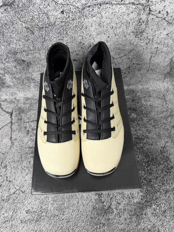 Jordan 17 Retro Low SP Infinite Archives