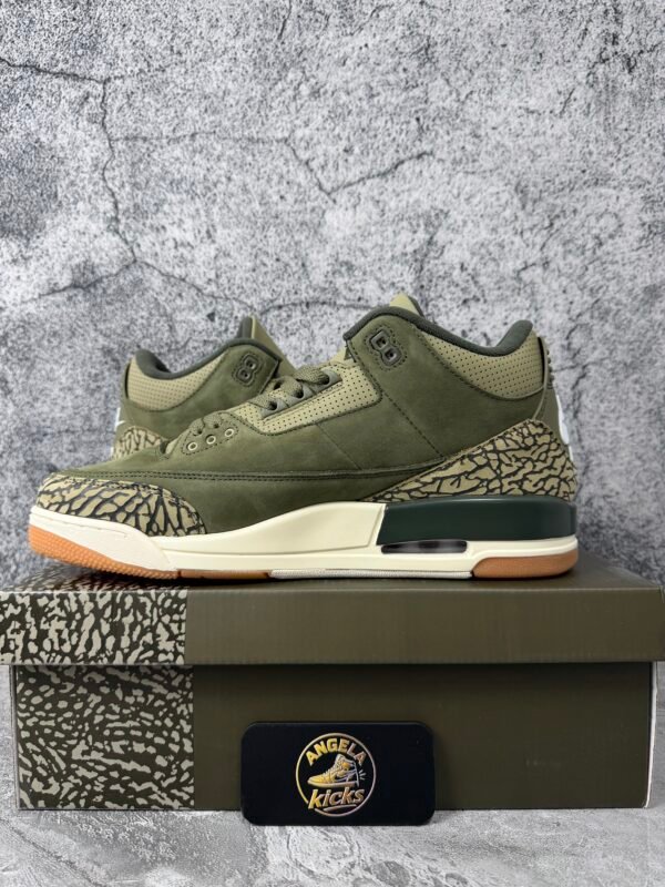 Jordan 3 Retro Family Affair