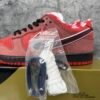 Nike SB Dunk Low Concepts Red Lobster