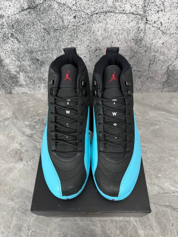 IMG_1068 Jordan 12 Retro Gamma Blue