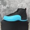 IMG_1069 Jordan 12 Retro Gamma Blue