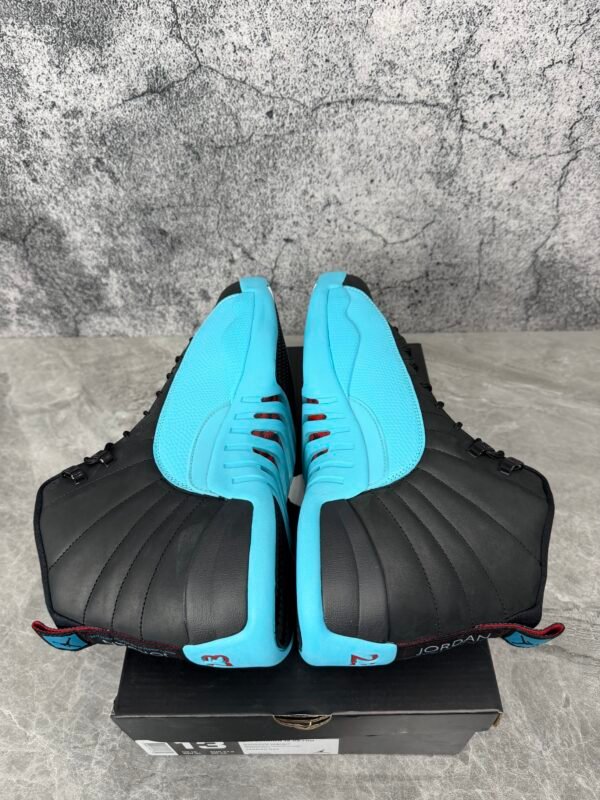 IMG_1070 Jordan 12 Retro Gamma Blue