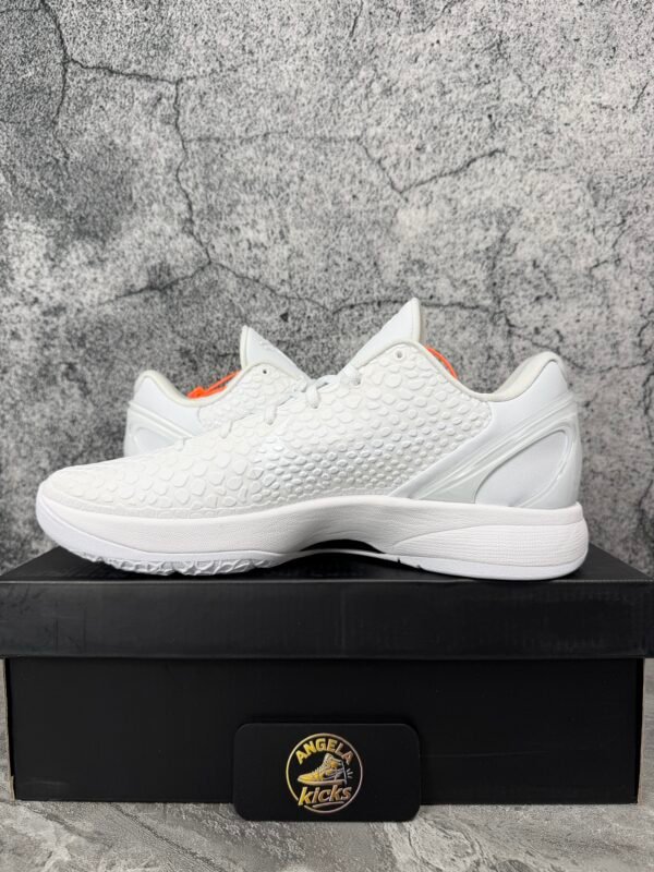 IMG_3204 Nike Kobe 8 Protro Halo