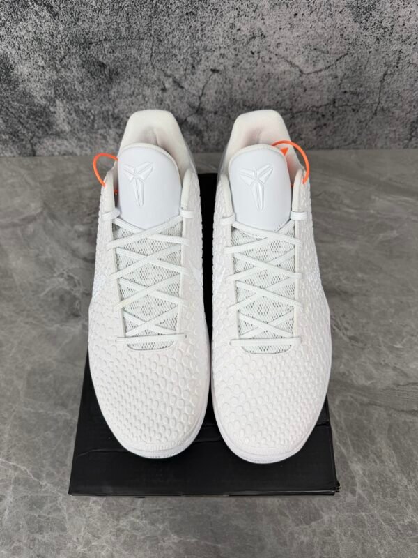 IMG_3205 Nike Kobe 8 Protro Halo