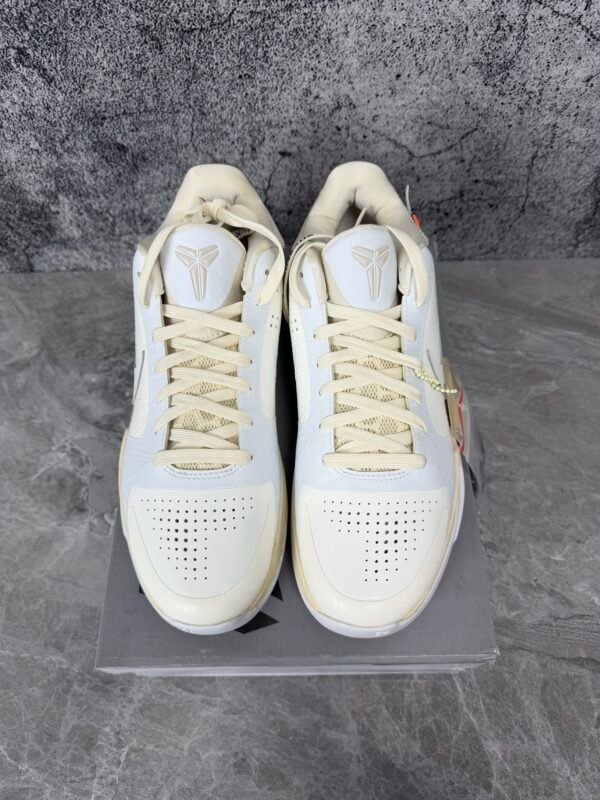 IMG_3501 KOBE V PROTRO UNDFTD-PACK