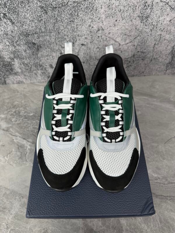 IMG_5448 Dior B22 Green