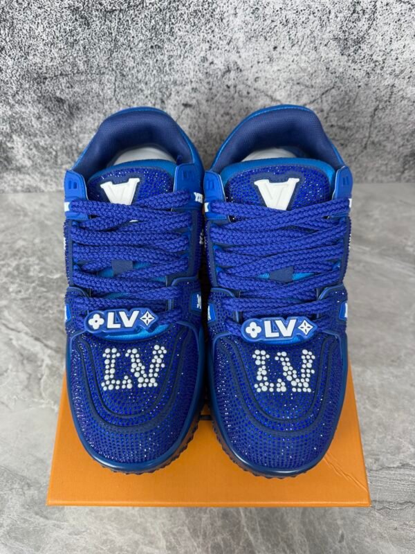 IMG_5651 Louis Vuitton LV Trainer