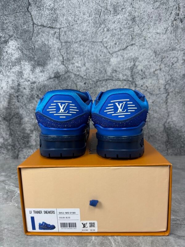 IMG_5654 Louis Vuitton LV Trainer