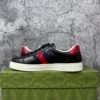 Gucci Ace Web Black Navy Red