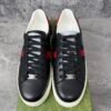 Gucci Ace Web Black Navy Red