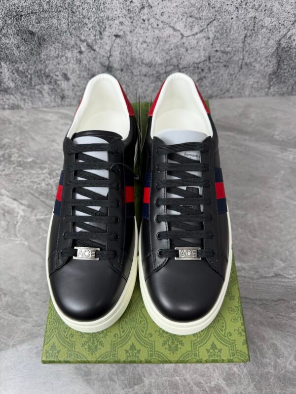 Gucci Ace Web Black Navy Red